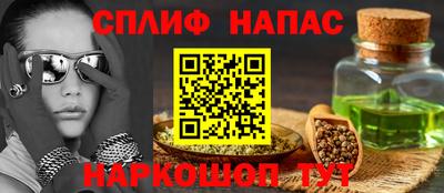 гашик Ливны