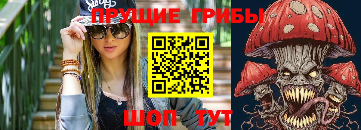 МЕФ Звенигород