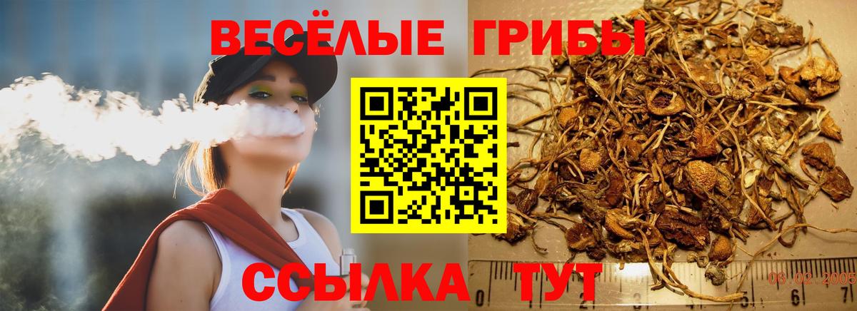 Псилоцибиновые грибы Magic Shrooms Звенигород
