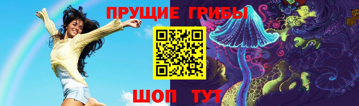 Звенигород  Галлюциногенные грибы мухоморы  Вход с VPN 